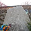 매화농원 이미지