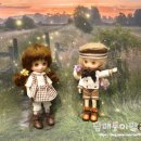 쁘띠베리