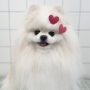 크린멍 이미지