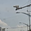 영천가든 이미지