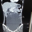 한림대학교 강남성심병원 이미지