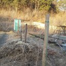 산림약국 이미지