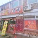 신태향 이미지