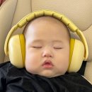 아가츄 이미지