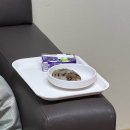 슬기로운고기생활 | 청주 모태안 여성병원 제왕절개 후기 | ➋ 슬기로운(?) 입원 생활