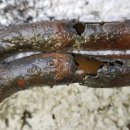 이정카센타 이미지