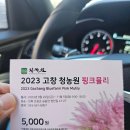 고창 핑크뮬리 청농원 /꽃객프로젝트 어디로 갈까?