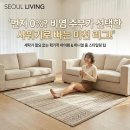 주부세탁 | 스웨덴 러그 비염 주부 30평 거실 여름 인테리어 물세탁 가능한 주방매트 얼룩 지우기 후기 100% 성공