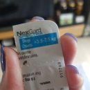 신길 온동물병원 이미지