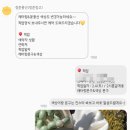 청춘풍선 이미지