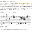 세광음악사 이미지