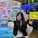 박영재댄스스포츠학원 이미지