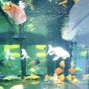 해양관 카페 이미지