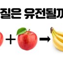 기질아카데미 이미지