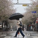 선선 이미지