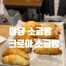 크로아