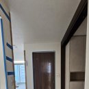 살구골서광·성지·동아·진덕 이미지