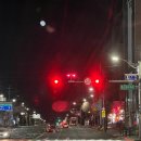 빵 아저씨 빵 아줌마 | 성심당 말차시루 오픈런 후기 (케이크부띠끄)