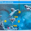 명동 선착장 이미지