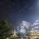 시흥 배곧동 애견동반식당 금홍 중화요리 룸식당