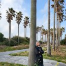 2025 제주여행(협재해변, 신창풍차해안도로) 이미지