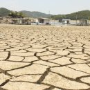 거북헬스 이미지