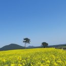 모태영농조합법인 이미지