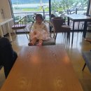 소행성651
