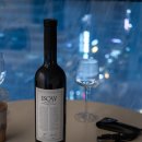 2021 | 🍷 트라피체 이스까이 말벡 &amp; 카베르네 프랑 2021 내돈내산 후기