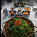 식객 허영만의 백반기행 연천 민물 참게 매운탕 맛집 불탄소가든 위치