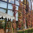 카페 벅헤드 이미지