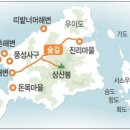 정치망민박 이미지
