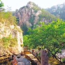 산세라 이미지