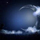 돈애랑장터순대국감자탕 이미지