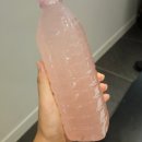 다이어트랩 | 청주 누워서 하는 다이어트 셀포랩 제니스 후기