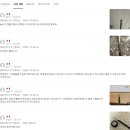 217 | 맥 217 블렌딩 브러시 광고 아닌 실제 후기들 찾아보기