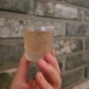 롯데칠성음료 | 리뉴얼 로제 청하 스파클링 후기. 롯데칠성음료 디저트와인st 신상술리뷰