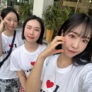 코끼리투어