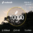 6월17일 개울물도 말라가네 이미지