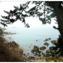 신남3공원 이미지