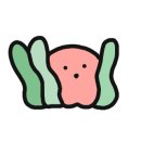 헤어아로하