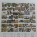 라메르19 이미지