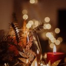 웰빙요가 이미지