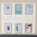 범안로 | 신생아 단두, 사두 교정 - 비바헬맷 리뷰