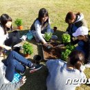 재단법인 산림힐링재단 이미지