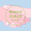 바이넷