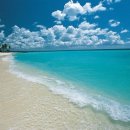 보라보라 이미지