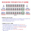 화성단음계(Harmonic minor)와 자연단음계(Natural minor) 비교 이미지