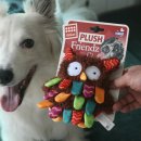 (주)온힐펫 이미지