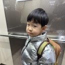 신양초교 | 신양초 병설유치원 입학식 :: 눈물의 첫날 기록😭(분위기,준비물 등등)